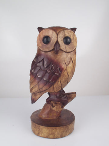 Owl on a Perch